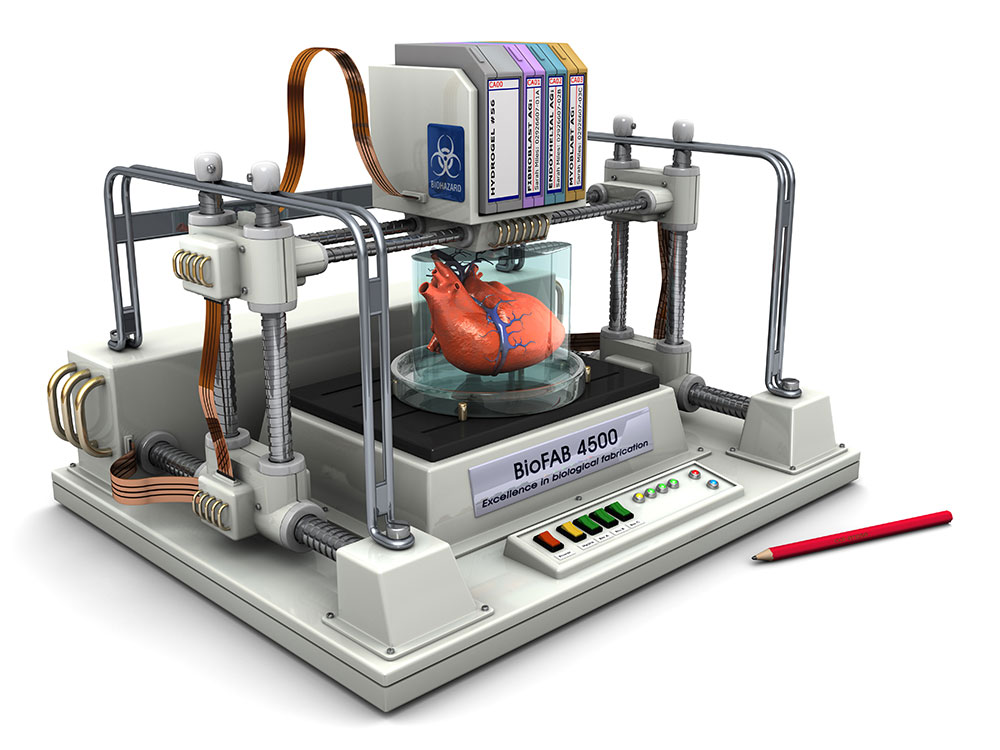 Imprimante 3D: Le Bioprinting ou l’impression de tissus vivants